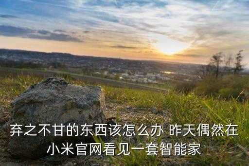 棄之不甘的東西該怎么辦 昨天偶然在小米官網(wǎng)看見(jiàn)一套智能家