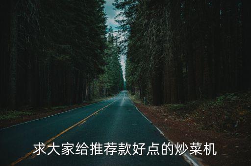 求大家給推薦款好點的炒菜機