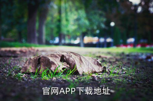 官網(wǎng)APP下載地址