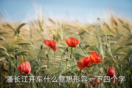 無(wú)人駕駛高科技，潘長(zhǎng)江開(kāi)車(chē)什么意思形容一下四個(gè)字