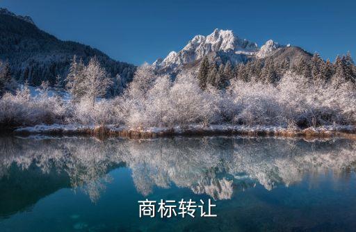 商標(biāo)轉(zhuǎn)讓平臺(tái)官網(wǎng)，商標(biāo)轉(zhuǎn)讓