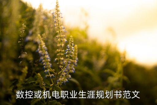 數(shù)控或機(jī)電職業(yè)生涯規(guī)劃書范文
