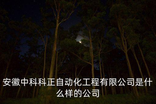 安徽中科科正自動(dòng)化工程有限公司是什么樣的公司