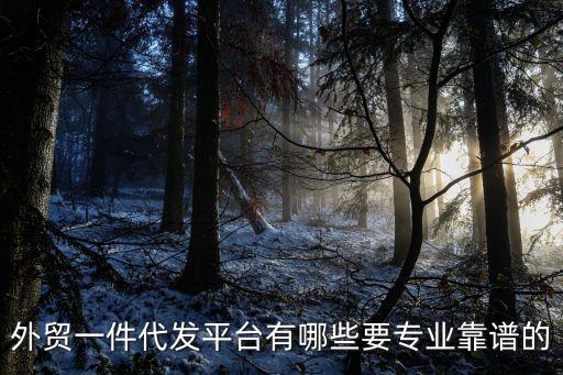 外貿(mào)一件代發(fā)平臺(tái)有哪些要專業(yè)靠譜的