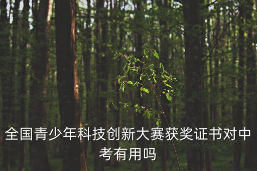 全國青少年科技創(chuàng)新大賽獲獎(jiǎng)證書對中考有用嗎