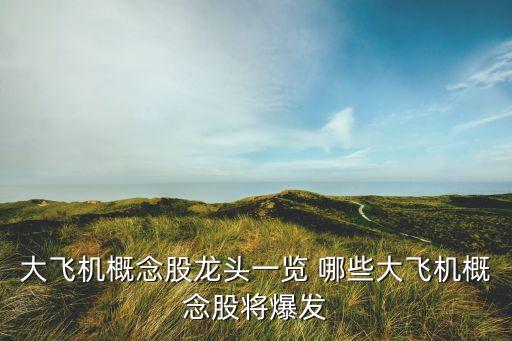 大飛機(jī)概念股龍頭一覽 哪些大飛機(jī)概念股將爆發(fā)