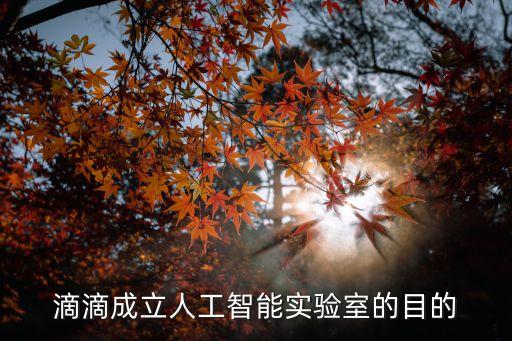 滴滴成立人工智能實(shí)驗(yàn)室的目的