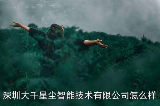 深圳大千星塵智能技術(shù)有限公司怎么樣