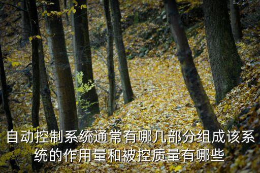 自動控制系統(tǒng)通常有哪幾部分組成該系統(tǒng)的作用量和被控質量有哪些