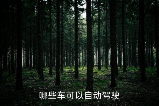 哪些車可以自動駕駛