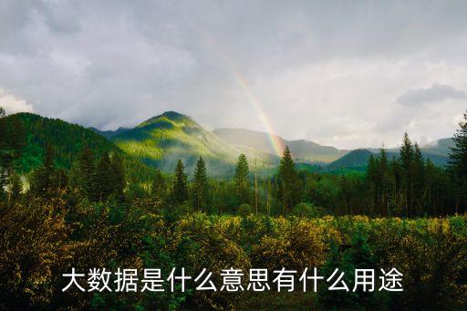 大數(shù)據(jù)是什么意思有什么用途