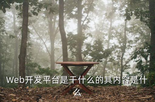 Web開發(fā)平臺是干什么的其內(nèi)容是什么