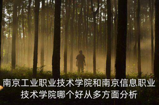 南京工業(yè)職業(yè)技術(shù)學(xué)院和南京信息職業(yè)技術(shù)學(xué)院哪個(gè)好從多方面分析