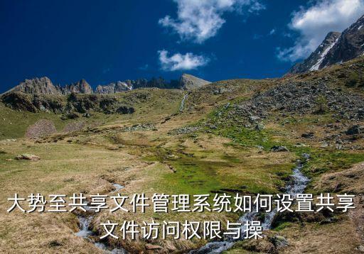 共享管理系統，如何管理系統共享資源