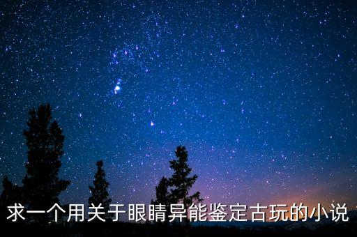 求一個(gè)用關(guān)于眼睛異能鑒定古玩的小說(shuō)