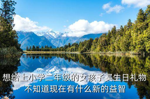 想給上小學(xué)二年級的女孩子買生日禮物不知道現(xiàn)在有什么新的益智