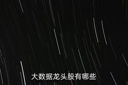 大數(shù)據(jù)龍頭股有哪些