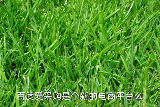 百度ai技術(shù)平臺(tái)，人工智能網(wǎng)站有哪些