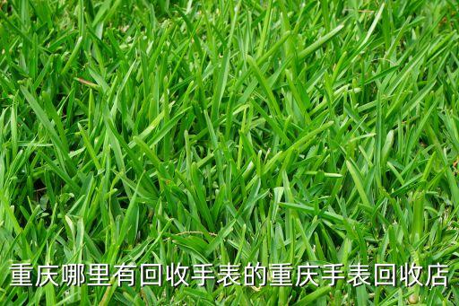 重慶哪里有回收手表的重慶手表回收店