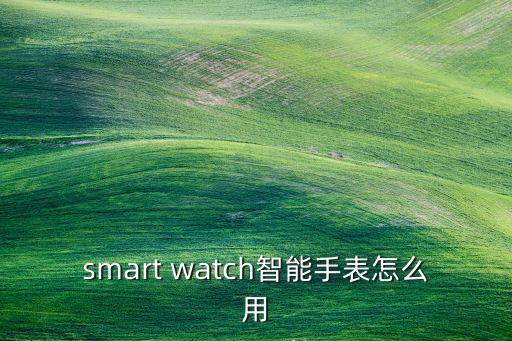 smart watch智能手表怎么用