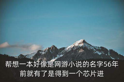 幫想一本好像是網(wǎng)游小說(shuō)的名字56年前就有了是得到一個(gè)芯片進(jìn)
