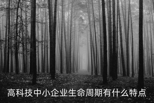 高科技中小企業(yè)生命周期有什么特點(diǎn)