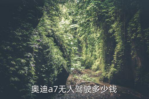 奧迪無人駕駛汽車多少錢一輛，奧迪a7無人駕駛多少錢