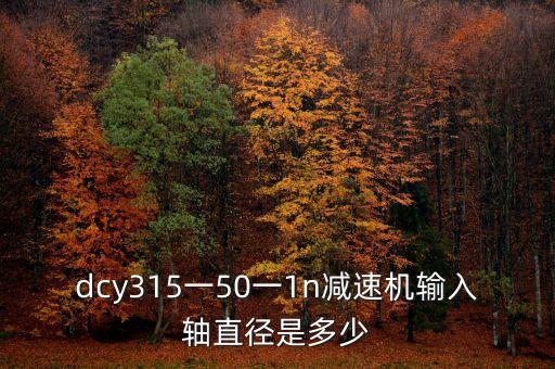 dcy315一50一1n減速機輸入軸直徑是多少