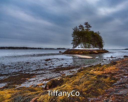 TiffanyCo