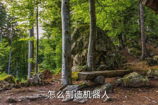 機器人制造，怎么制造機器人