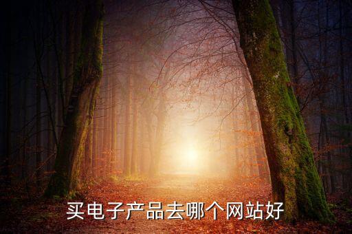 買電子產(chǎn)品去哪個(gè)網(wǎng)站好