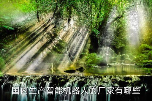 國內(nèi)生產(chǎn)智能機(jī)器人的廠家有哪些