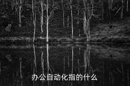 辦公自動化指的什么