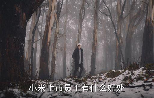 小米上市員工有什么好處