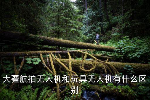 大疆航拍無人機和玩具無人機有什么區(qū)別