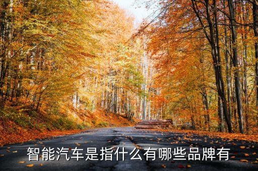 智能汽車是指什么有哪些品牌有