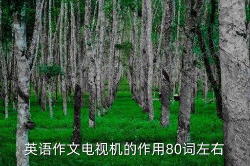 英語作文電視機(jī)的作用80詞左右