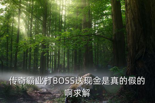 傳奇手游打金微信提現(xiàn)版真假，傳奇霸業(yè)打BOSS送現(xiàn)金是真的假的啊求解