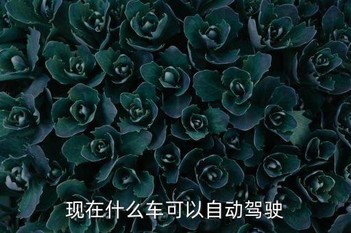 現(xiàn)在什么車可以自動駕駛