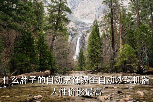 什么牌子的自動(dòng)烹飪鍋全自動(dòng)炒菜機(jī)器人性價(jià)比最高