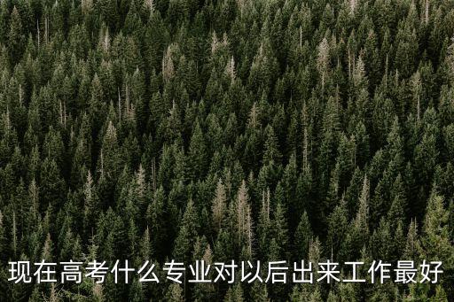 現(xiàn)在高考什么專業(yè)對(duì)以后出來工作最好