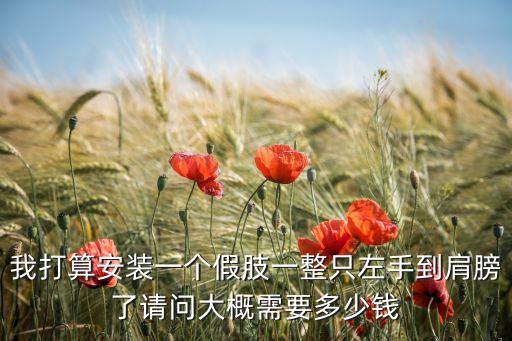 我打算安裝一個(gè)假肢一整只左手到肩膀了請(qǐng)問大概需要多少錢