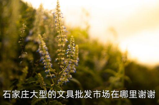 石家莊大型的文具批發(fā)市場在哪里謝謝