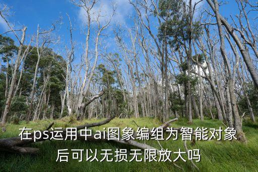 在ps運(yùn)用中ai圖象編組為智能對(duì)象后可以無損無限放大嗎