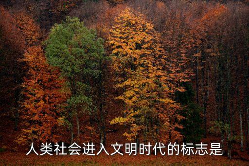 人類社會(huì)進(jìn)入文明時(shí)代的標(biāo)志是