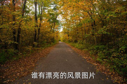 誰(shuí)有漂亮的風(fēng)景圖片