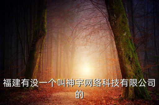 福建有沒一個叫神宇網(wǎng)絡(luò)科技有限公司的