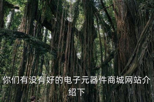 你們有沒(méi)有好的電子元器件商城網(wǎng)站介紹下