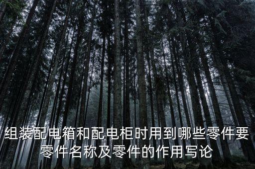 自動(dòng)化設(shè)備電箱零部件名稱(chēng)，組裝配電箱和配電柜時(shí)用到哪些零件要零件名稱(chēng)及零件的作用寫(xiě)論