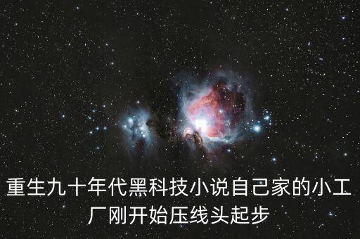重生九十年代黑科技小說自己家的小工廠剛開始?jí)壕€頭起步